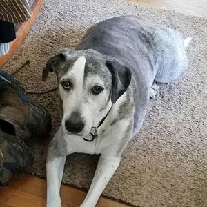 Meet your Posher, Christi